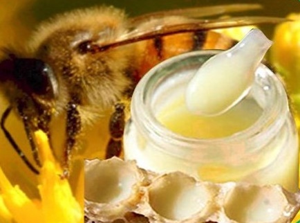 Sữa ong chúa trị yếu sinh lý